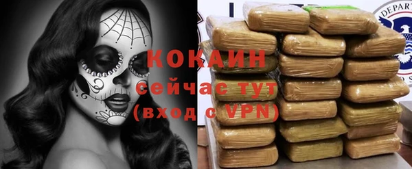 дурь Магас