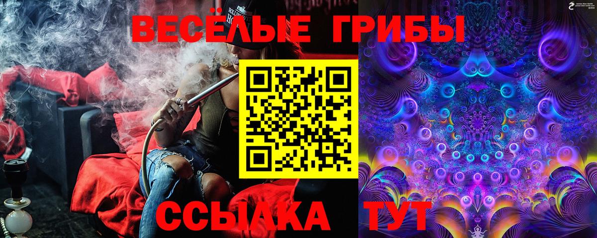 Галлюциногенные грибы Magic Shrooms Таганрог